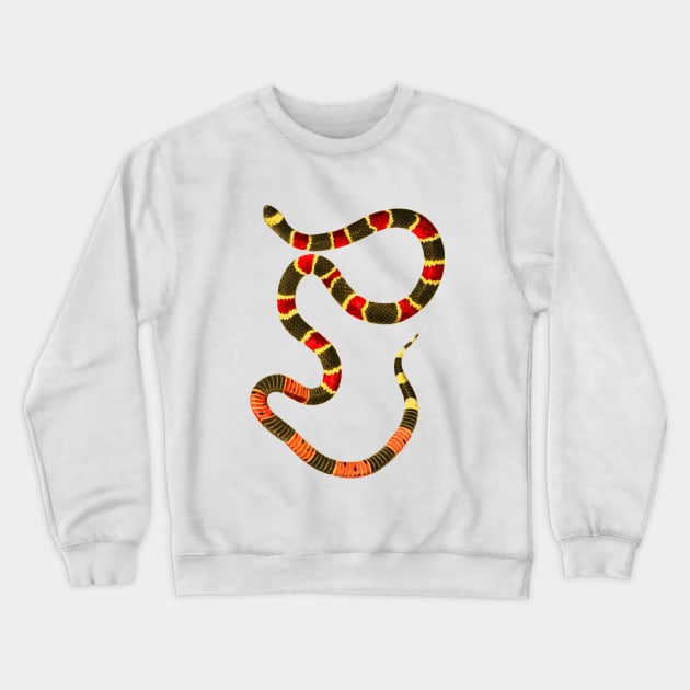 serpent,cobra,reptile,viper,venom,lizard,rattlesnake,king cobra,dragon,hydra,poison,venomous,plumber's snake,pythonidae,pythons,auger,python,squamata,serpentine,worm,big,ophidian,rattlesnakes,medusa,snakebite Crewneck Sweatshirt by vabontchi